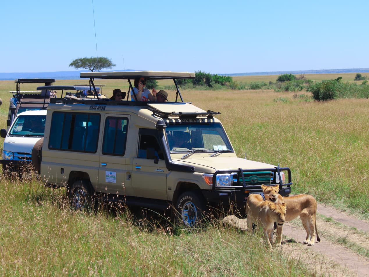 Maasai Mara Safari